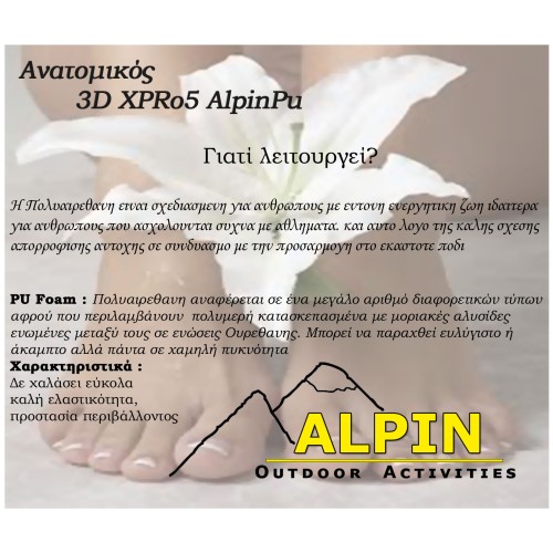 Ανατομικοί Πάτοι Παπουτσιών XPro5 Memory Foam Alpin