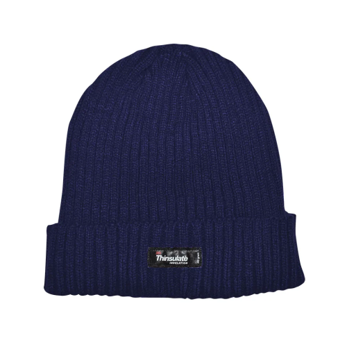 Σκουφί ενηλίκων μονόχρωμο Thinsulate με επένδυση fleece Stamion Μπλέ