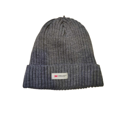 Σκουφί ενηλίκων μονόχρωμο Thinsulate με επένδυση fleece Stamion Γκρί