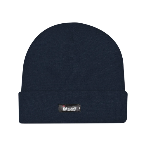 Ανδρικό σκουφί Thinsulate με επένδυση fleece Μπλέ